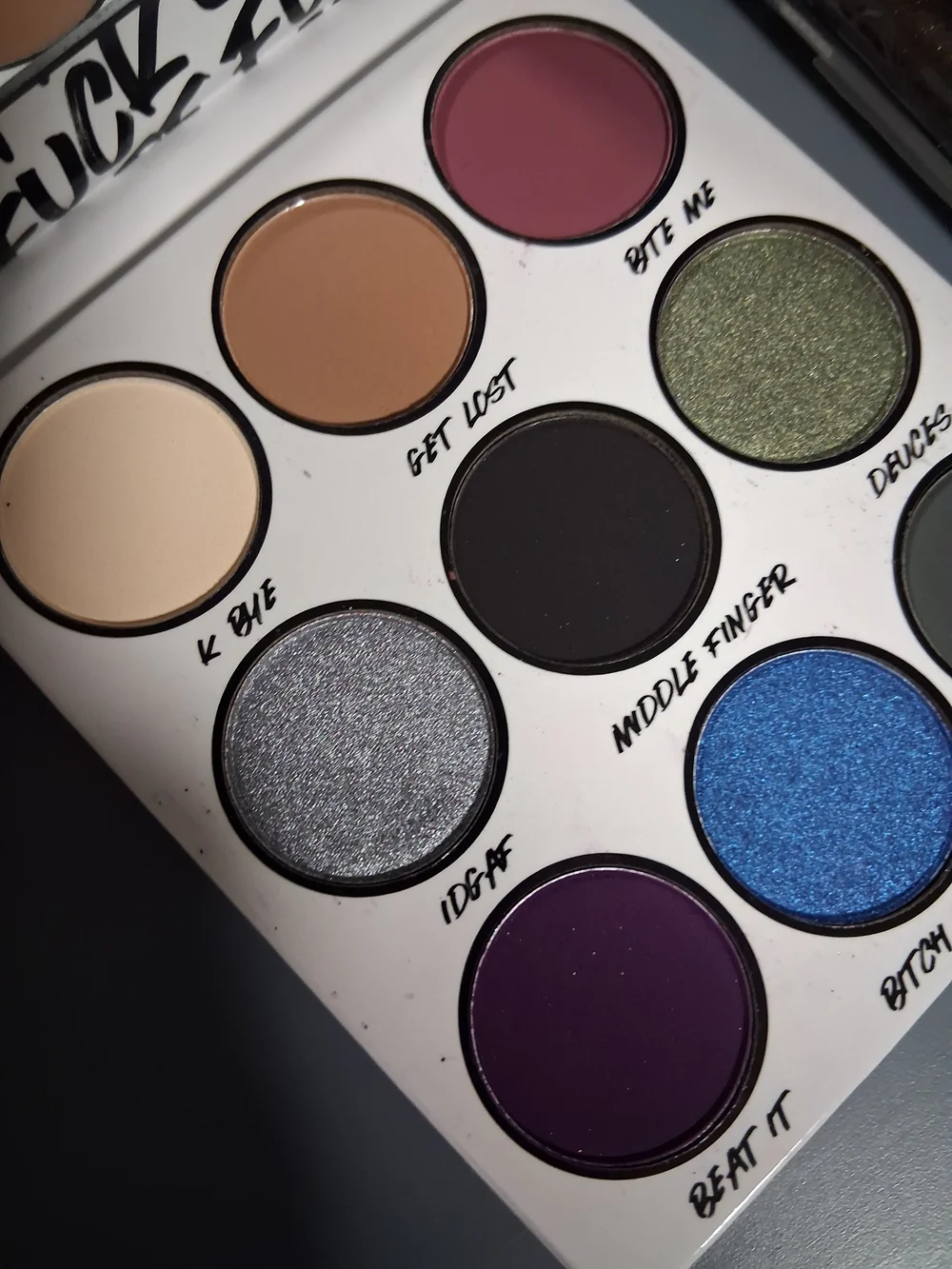 BH Cosmetics F**ck Off Palette And Lipgloss